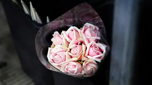 ช่อกุหลาบชมพูอ่อนห่อกระดาษสีเข้ม